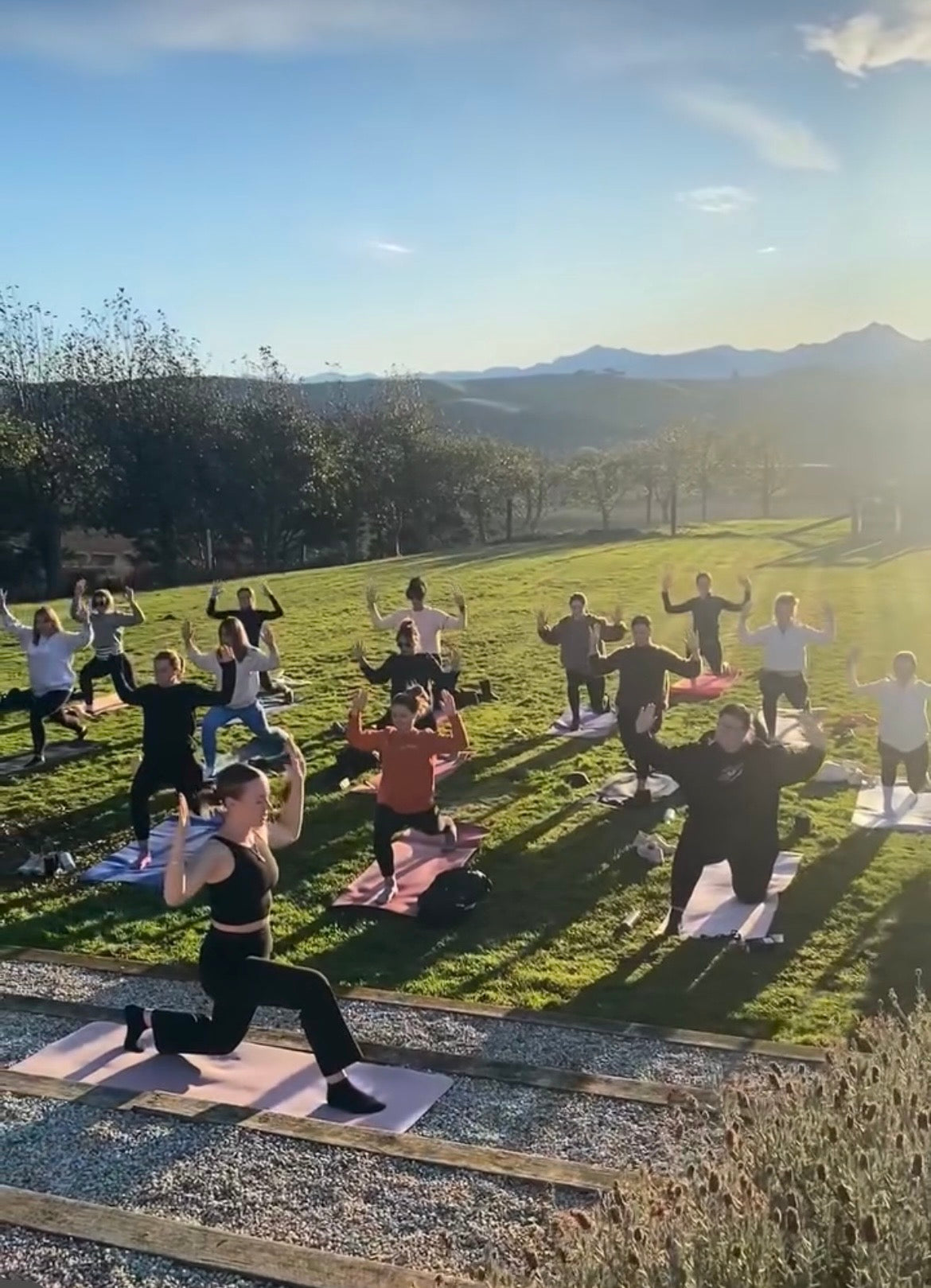 Yoga in the Vines — Ticket